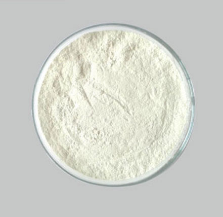 dicalcium phosphate bone base suppliers in india