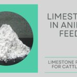 Limestone in Animal Feed