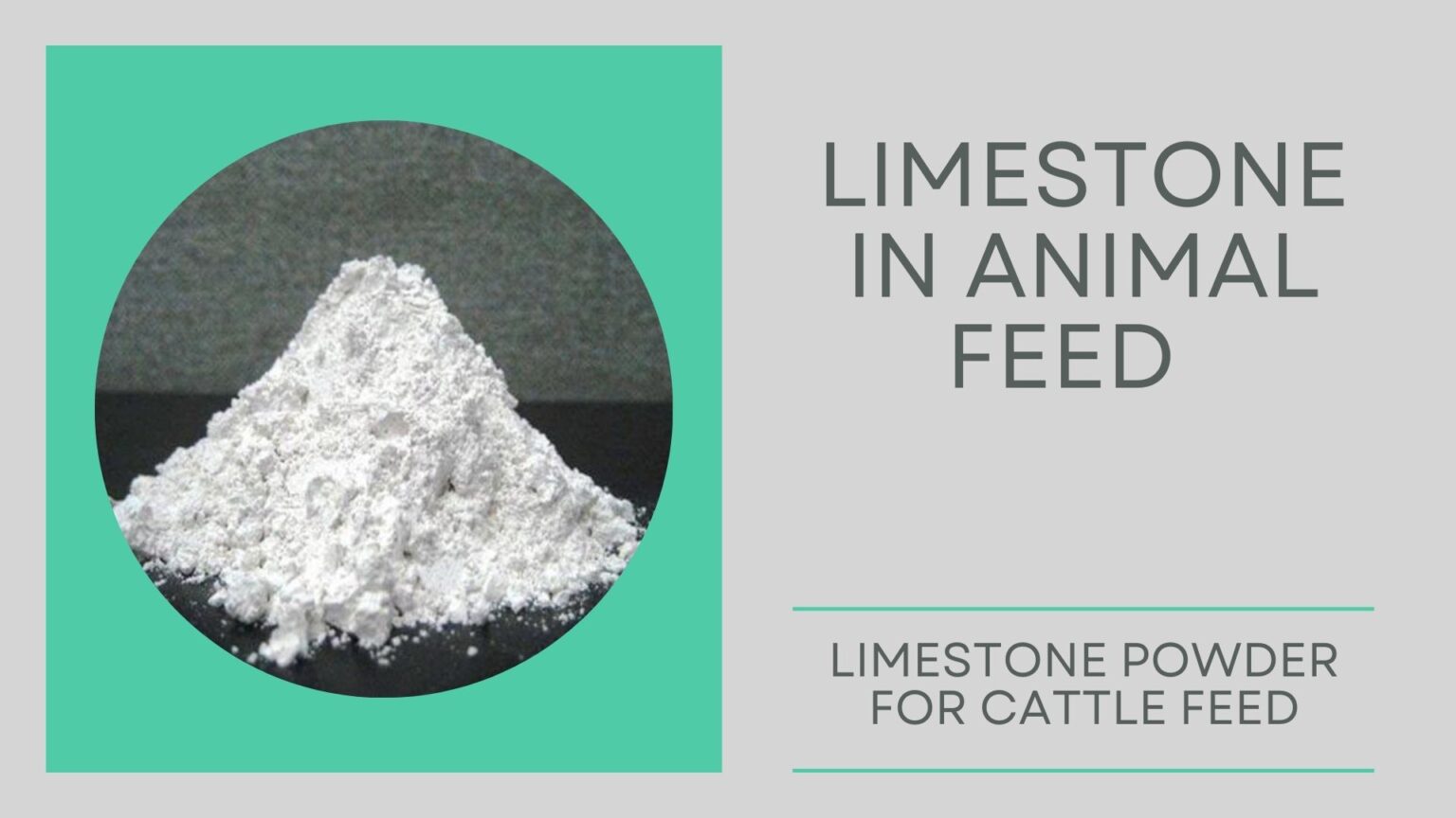Limestone in Animal Feed Shivam Chemicals Blog