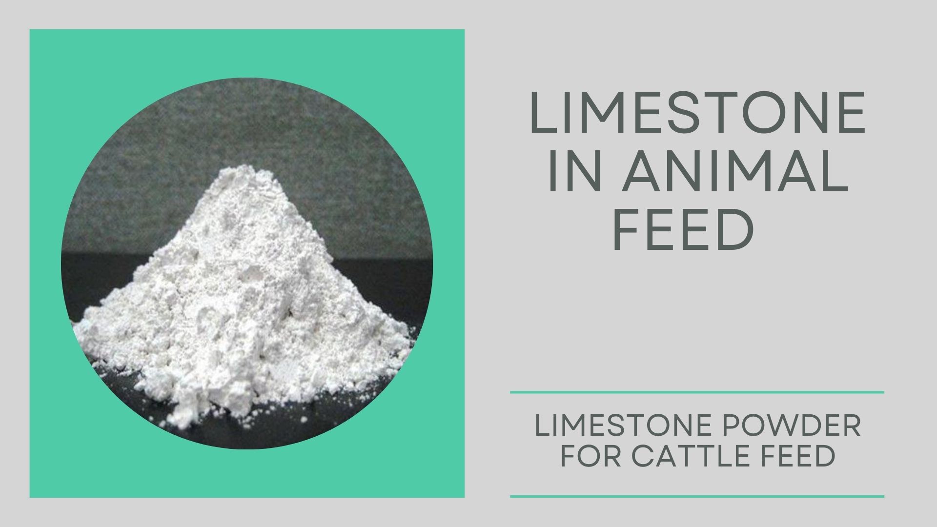 Limestone in Animal Feed - Shivam Chemicals Blog