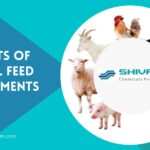 Benefits of Animal Feed Supplements