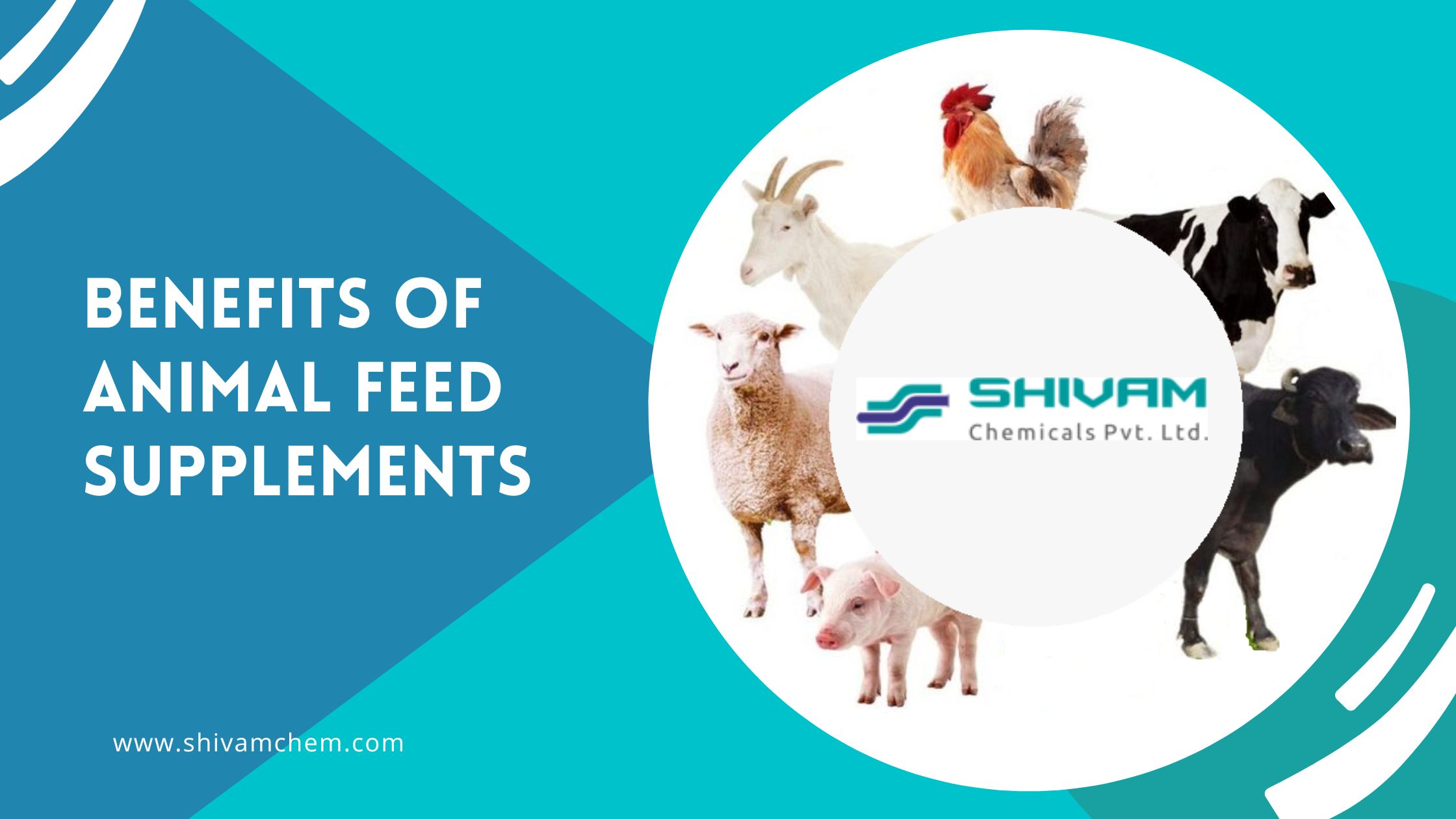 Benefits of Animal Feed Supplements