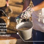 Why Do Animals Need Essential Nutrient Feeds From Trusted Manufacturers?