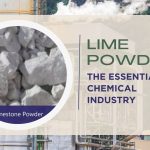 Lime Powder - The Essential Chemical Industry