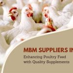 MBM Suppliers in India - Enhancing Poultry Feed with Quality Supplements