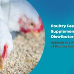 Poultry Feed Supplement Distributors in India - Unleash the Power of Poultry Nutrition