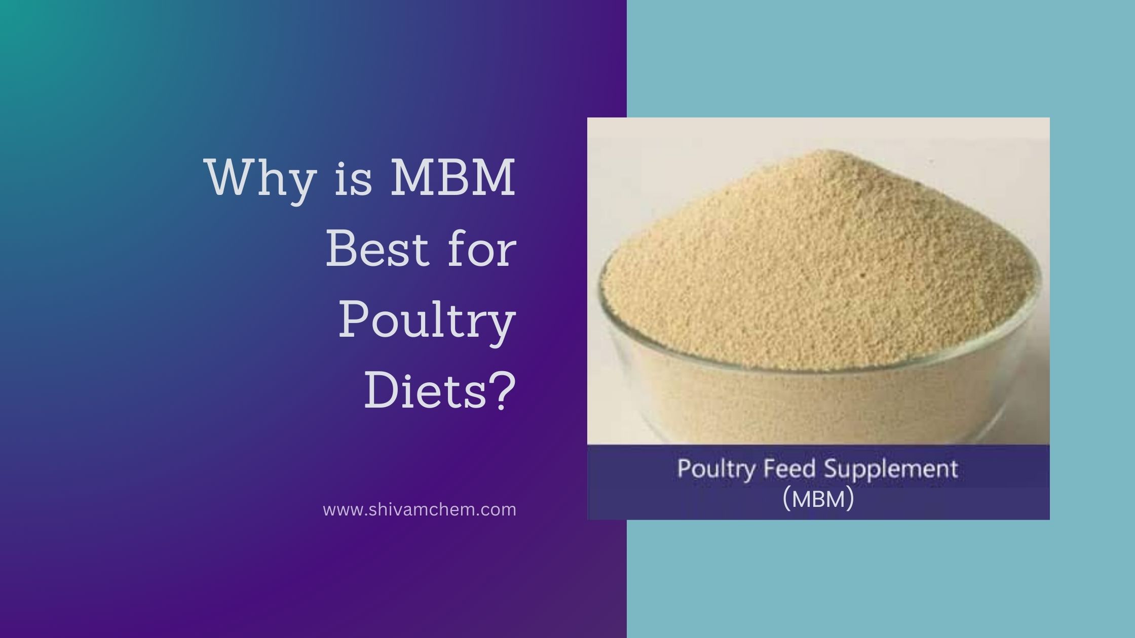 Why is MBM Best for Poultry Diets