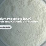 Dicalcium Phosphate (DCP) - Minerals and Organics in Poultry - A Comprehensive Guide