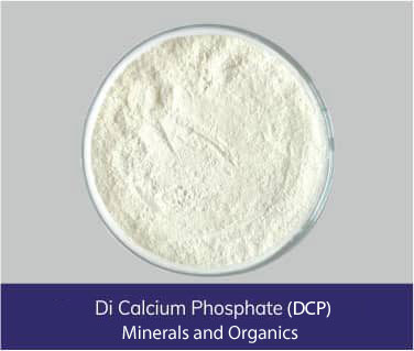 Di Calcium Phosphate (DCP) - Minerals & Organics