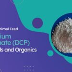 Exploring Animal Feed - Di Calcium Phosphate (DCP) – Minerals and Organics