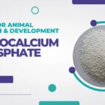 Vital for Animal Growth & Development - Monocalcium Phosphate (MCP)
