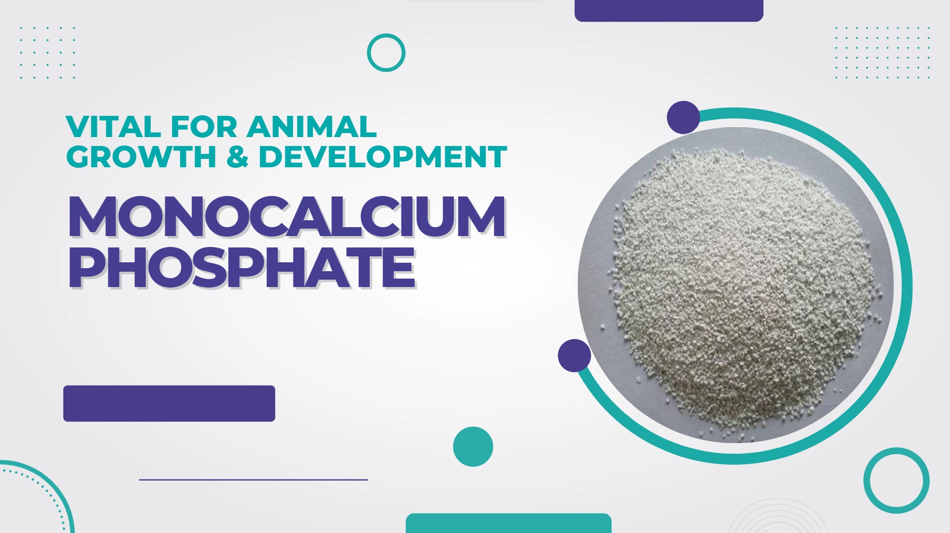 Vital for Animal Growth & Development – Monocalcium Phosphate (MCP)