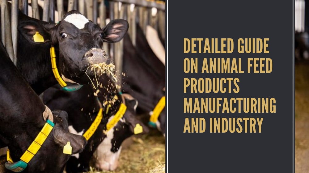 Detailed Guide on Animal Feed Products Manufacturing and Industry