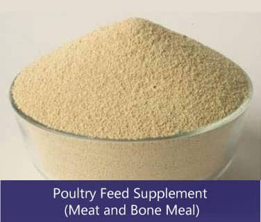 mbm suppliers in india