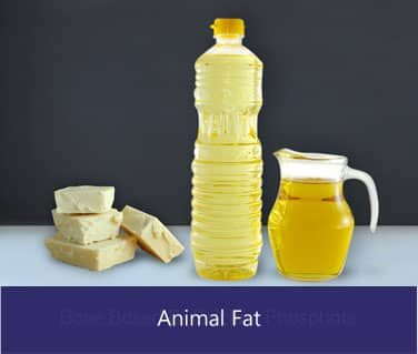 animal fat suppliers in india