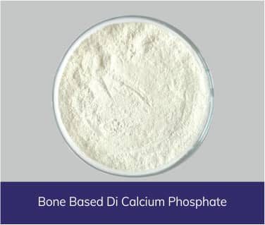 Bone Base Di Calcium Phosphate