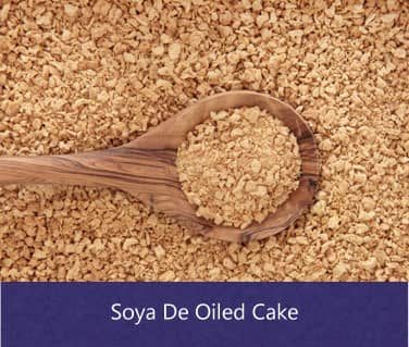 soya de oiled cake suppliers in india